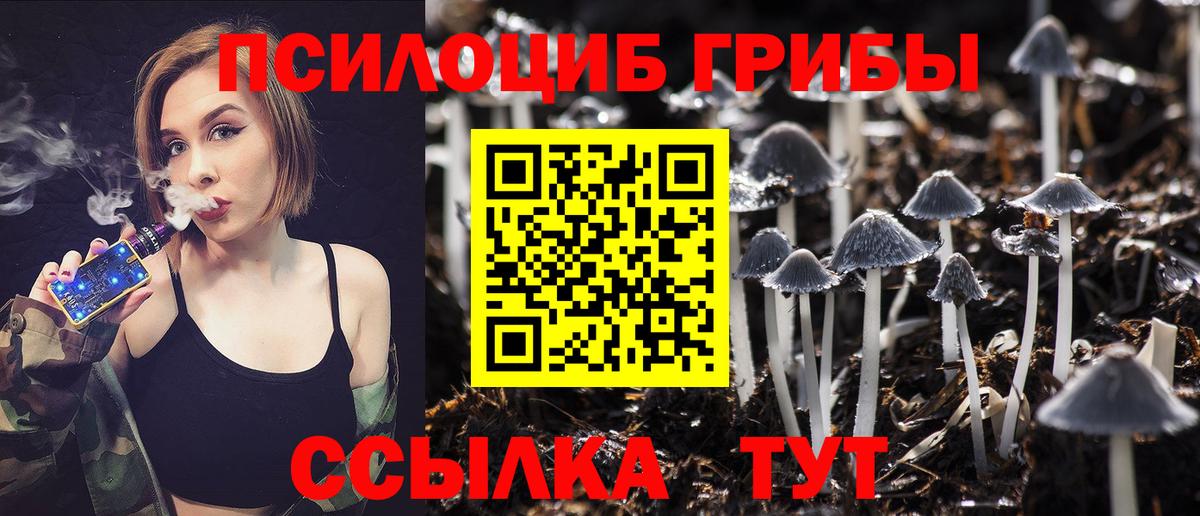 Киров  Галлюциногенные грибы Cubensis  Вход с VPN  Галлюциногенные грибы MAGIC MUSHROOMS 