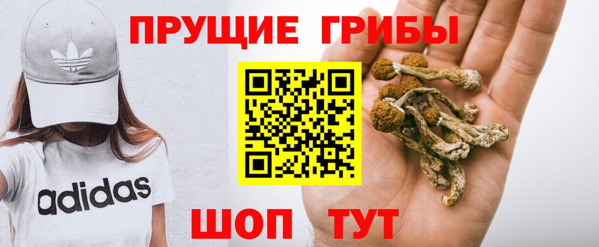 Псилоцибиновые грибы ЛСД Киров