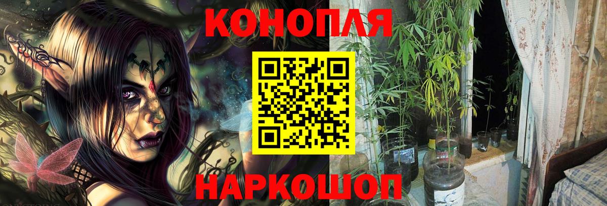 Бошки Шишки Amnesia Киров