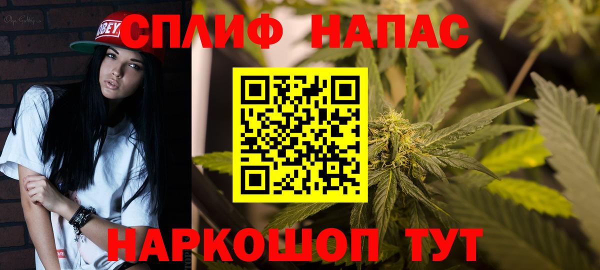 Бошки марихуана Ganja  Бошки марихуана план  Вход с VPN  Марихуана White Widow  Киров 